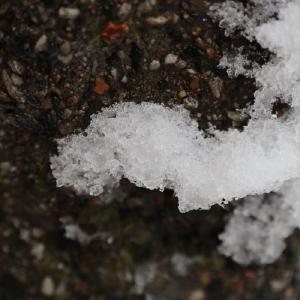 Auf Stein Schnee
