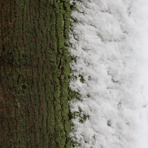 img/winter.jpg