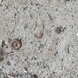sand