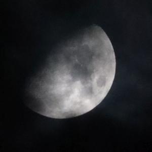 Mond
